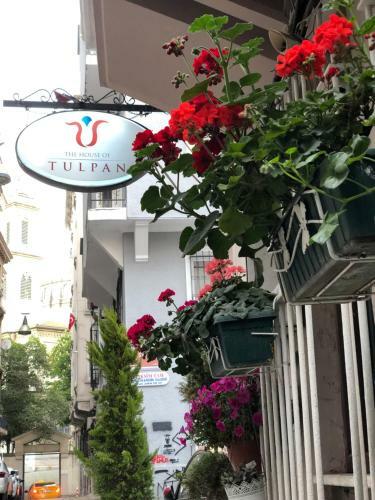 Hotel The House Of Tulpan