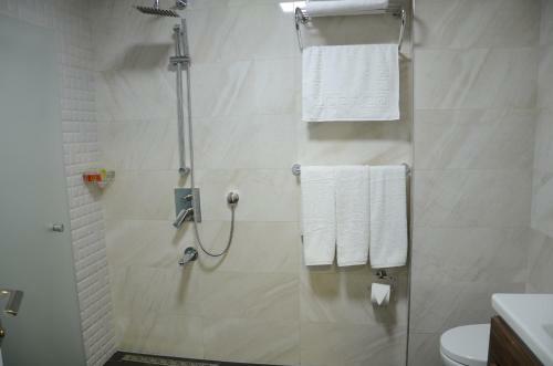 Safa Royal Museum Hotel