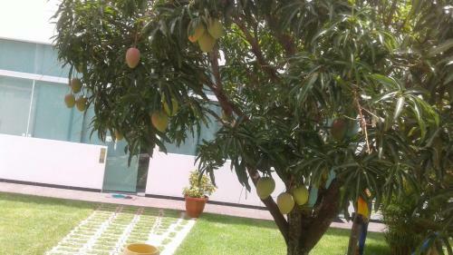 Apartamento Mandakaru Residence Flats Da J�