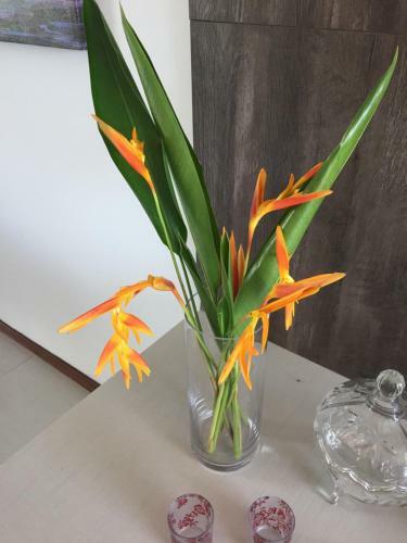 Apartamento Nannai Beira Mar Porto de Galinhas