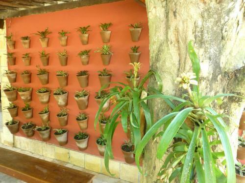 Hostal Pousada Das Brom�lias