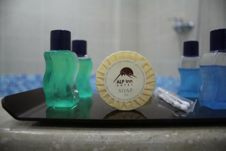 Alp Inn Hotel