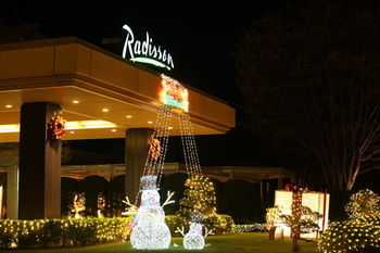 Hotel Radisson Narita