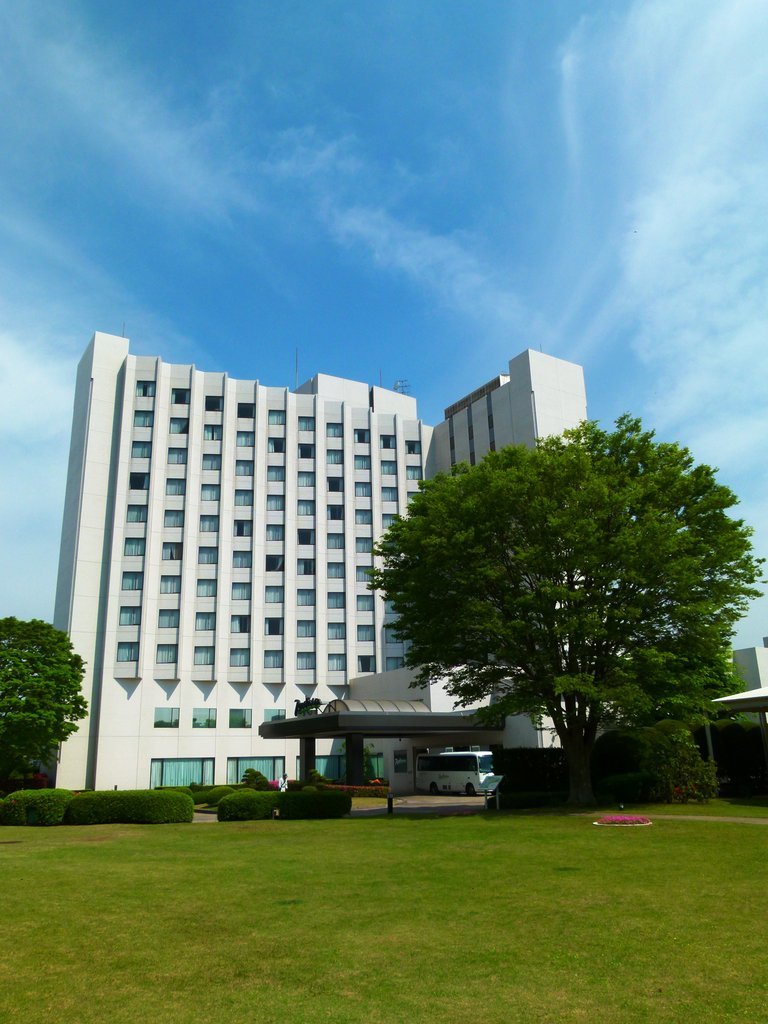 Hotel Radisson Narita