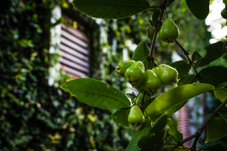 Hotel Kaomai Lanna Resort Chiang Mai