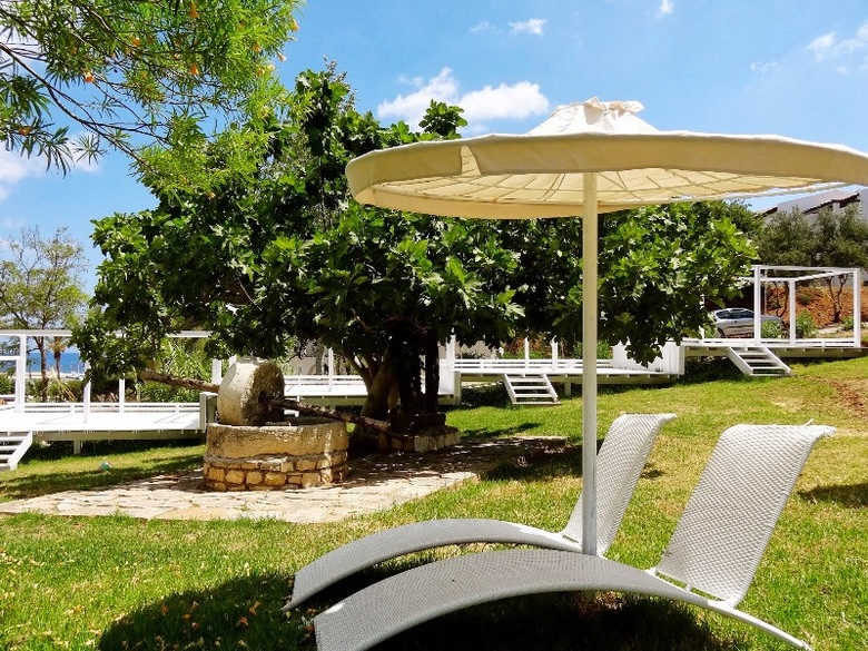 Hotel Zening Resorts