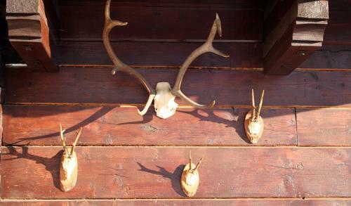 Hotel Art-lodge