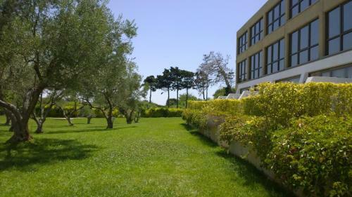 Alexander Beach Hotel & Spa