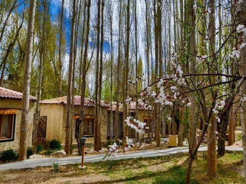 Hotel Palette - Eco Poplar Villa & Resort