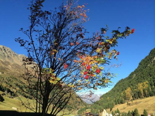 Apartamentos Appartement Wildspitz'