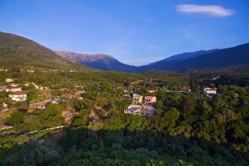 Villa Zoi