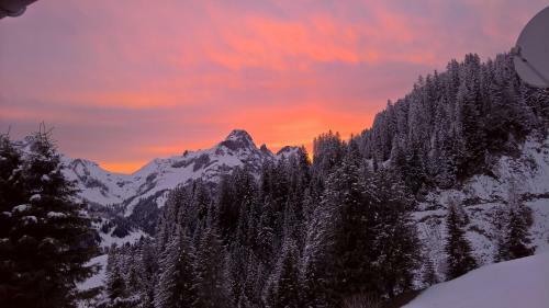 Bed & Breakfast Haus Berghof