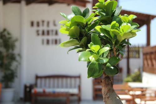 Santa Irini Hotel
