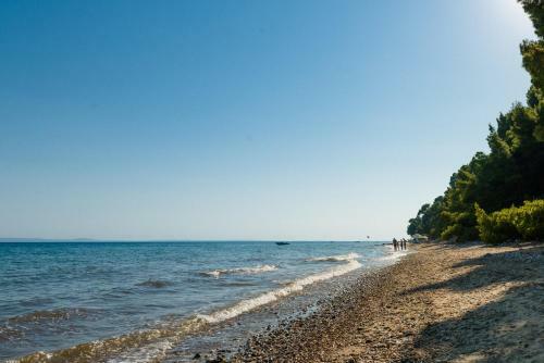 Apartamento Sithonia Lodge