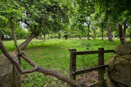 Agroturismo Lehnsgaard Ranch