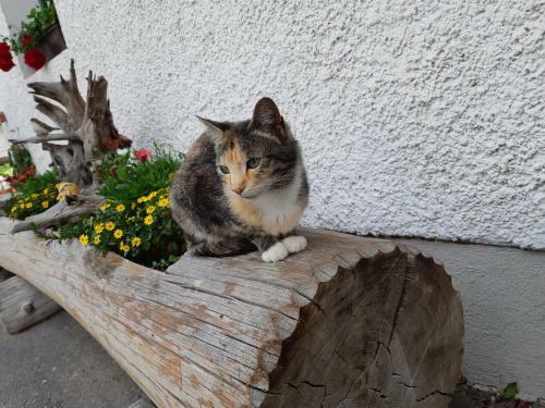 Agroturismo Hansenhof