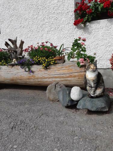 Agroturismo Hansenhof