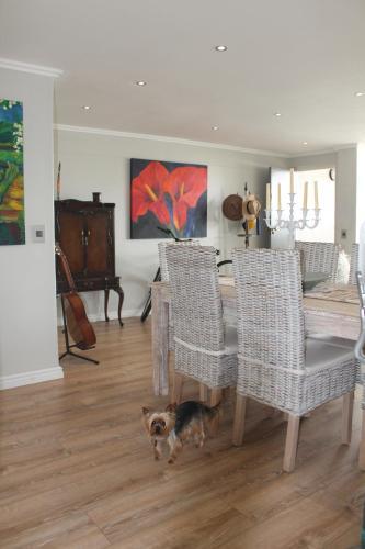Dolphin Beach Apartment
