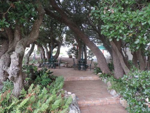 Hostal Milkwood Lodge