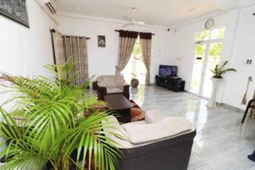 Hotel Peacock Resort