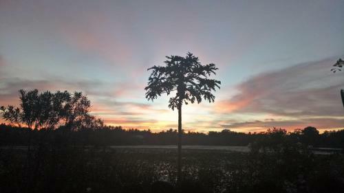 Hostal Heritage Lake View