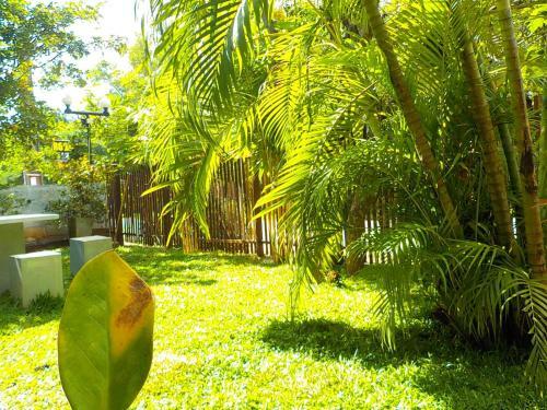 Bed & Breakfast Liyana Holiday Resort
