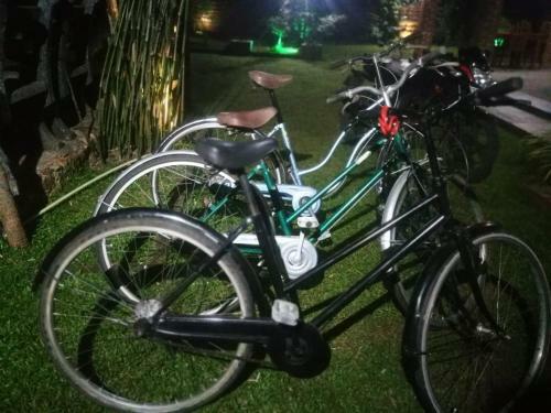 Bed & Breakfast Green Cottage