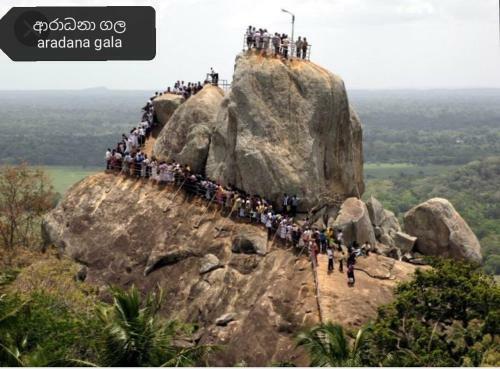 Bed & Breakfast Green Cottage