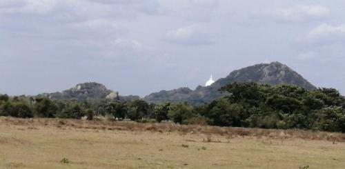 Bed & Breakfast Green Cottage