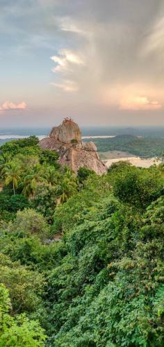 Bed & Breakfast Green Cottage