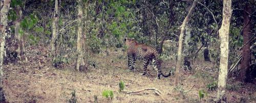 Bed & Breakfast Green Cottage