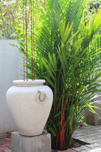 Aradhya Residence