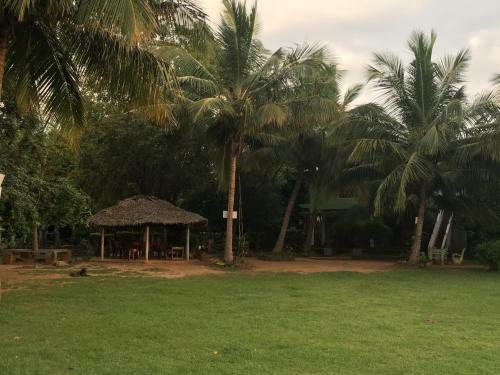 Dambulla Lake Hotel