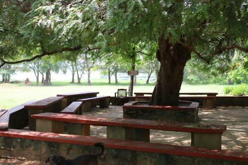 Dambulla Lake Hotel