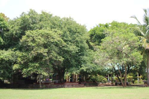 Dambulla Lake Hotel