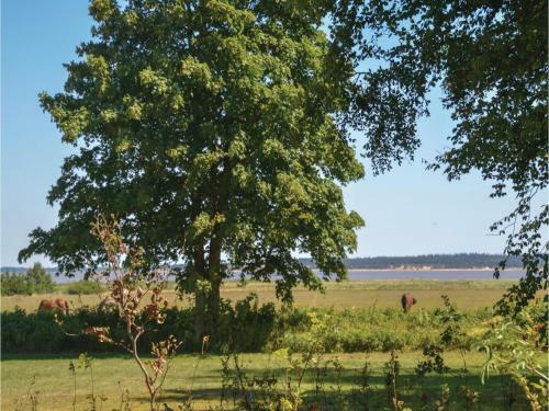 Four-bedroom Holiday Home In Blavand