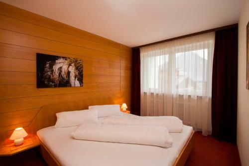 Hotel Appartement Winkler