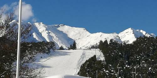Hotel Appartement Winkler