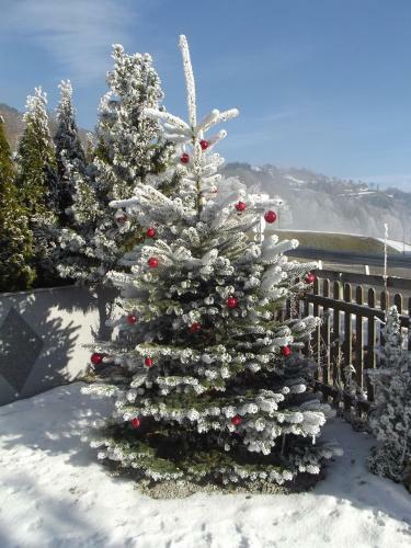 Apartamento Appartment Sonnenschein