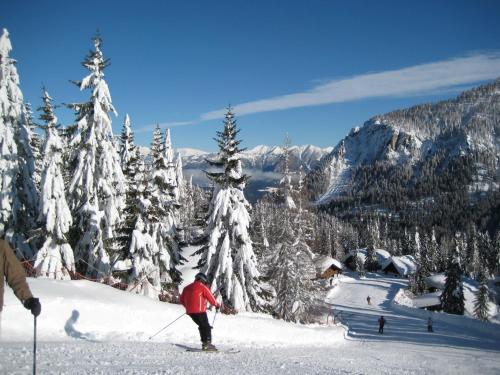 Alpenhotel Plattner