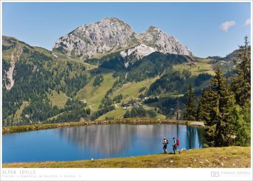 Alpenhotel Plattner