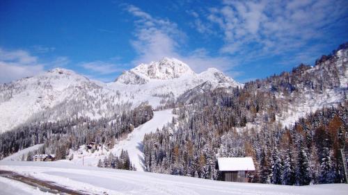 Alpenhotel Plattner