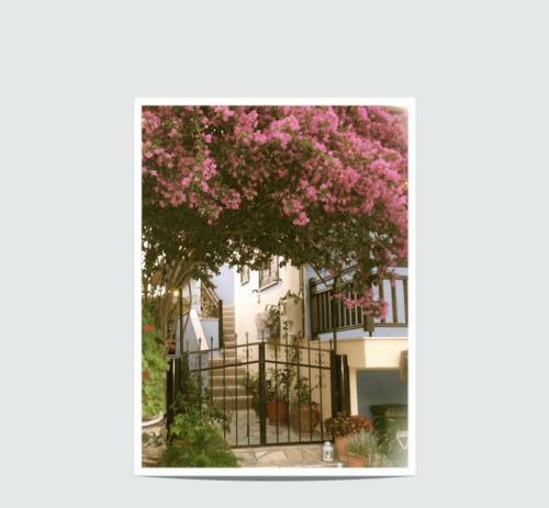 Hostal Dominici