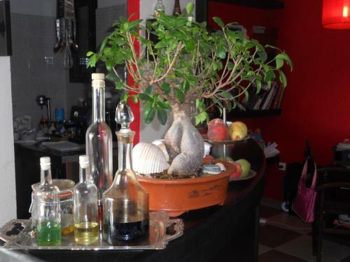 Hostal Dominici