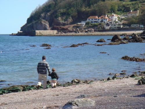 Bed & Breakfast The Downs, Babbacombe