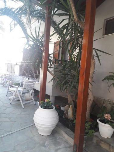 Hotel Alkyonari By Anna