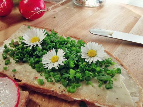 Hostal Landhaus Taurer