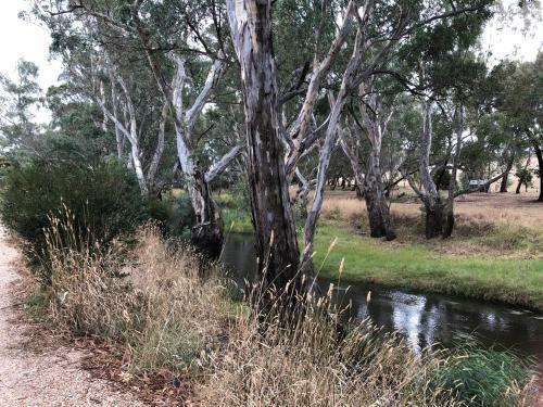 Hostal On The Creek