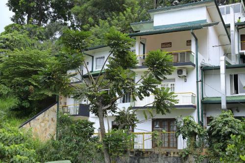 Mutton Button Kandy Holiday