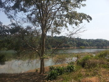 Hostal Kandy Holiday Home